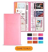 Car Registration and Insurance Holder