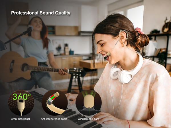 Headset Headworn Single Earhook Microphone
