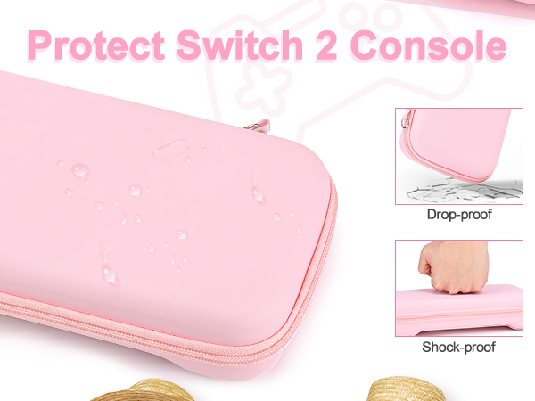 Nintendo switch 2 case