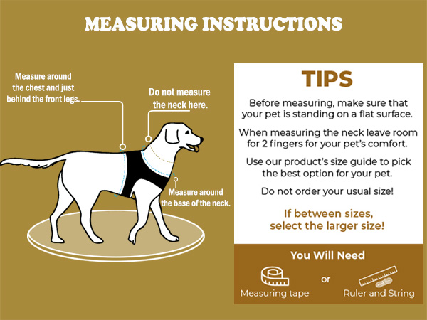 dog harness