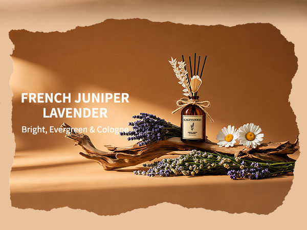 Reed Diffuser