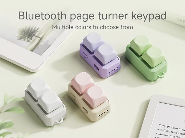 eBook Reader