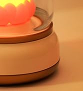 WANIDEA Lucky Capybara Night Light, Cute Lamp,Rotate to Adjust Brightness,Rechargeable Night Ligh...