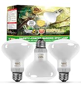 reptile light bulb
