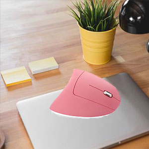 cute wireless mouse