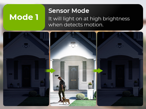 solar motion sensor light
