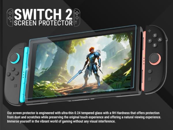 Nintendo Switch 2 Accessories