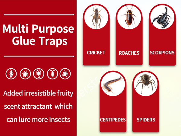 Bug Sticky Traps - Non-Toxic Extra Sticky Glue Traps for Bugs