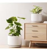 LE TAUCI Ceramic Plant Pots, Set of 2, 8 & 10 Inch Plant Pots Indoor with Saucer and Drainage, Mo...