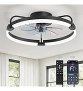 LEDIARY Ceiling Fans with Lights and Remote, 20'' Low Profile Ceiling Fan with Light, 3000-6000K ...