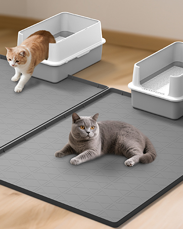 cat litter mat
