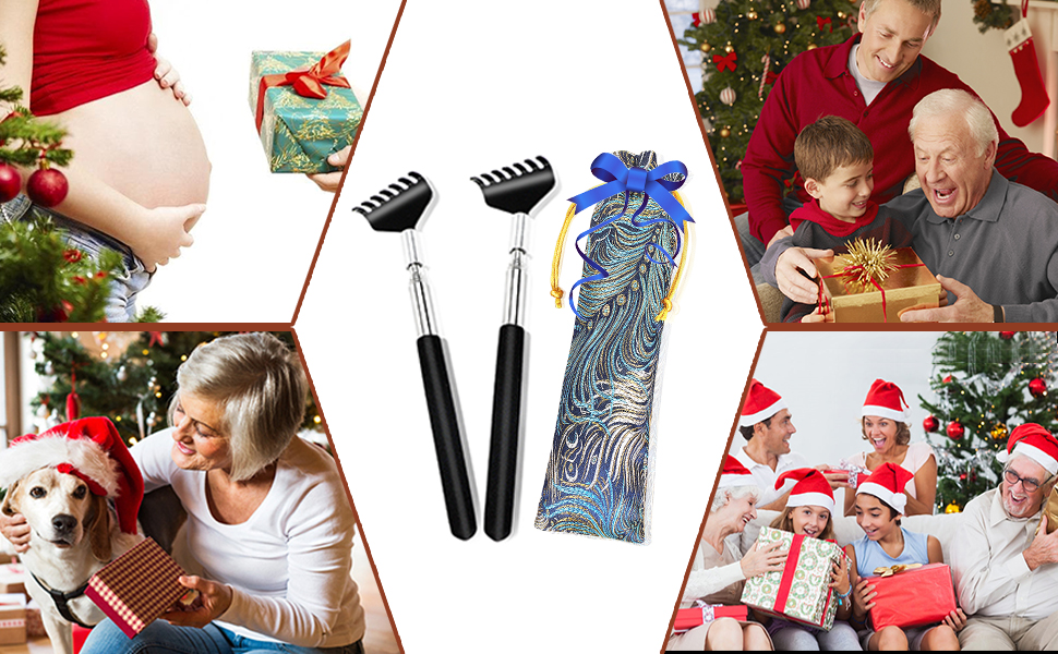 Great Holiday Gift