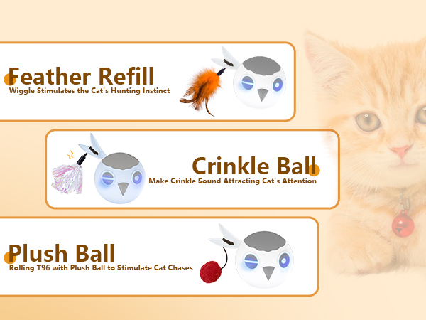 cat interactive toys