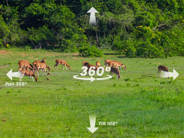 4G wild camera