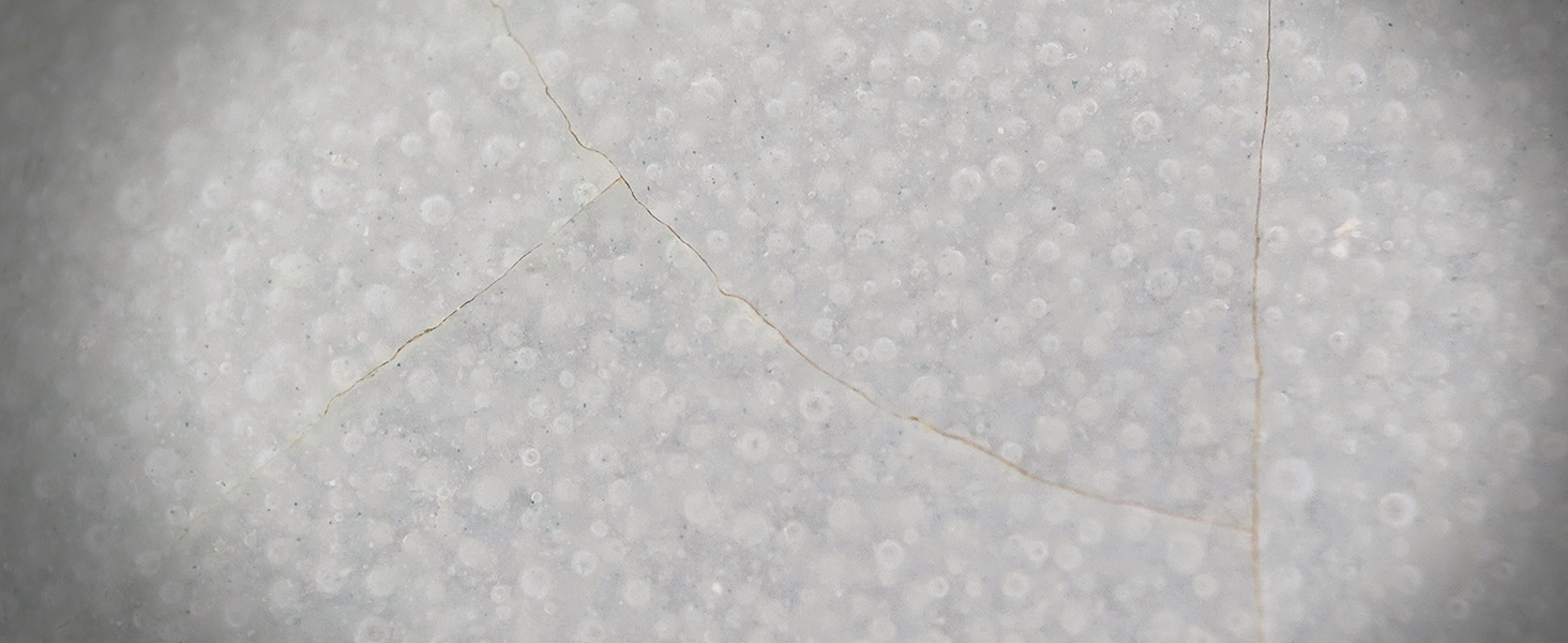 300X Phone Microscope Lens