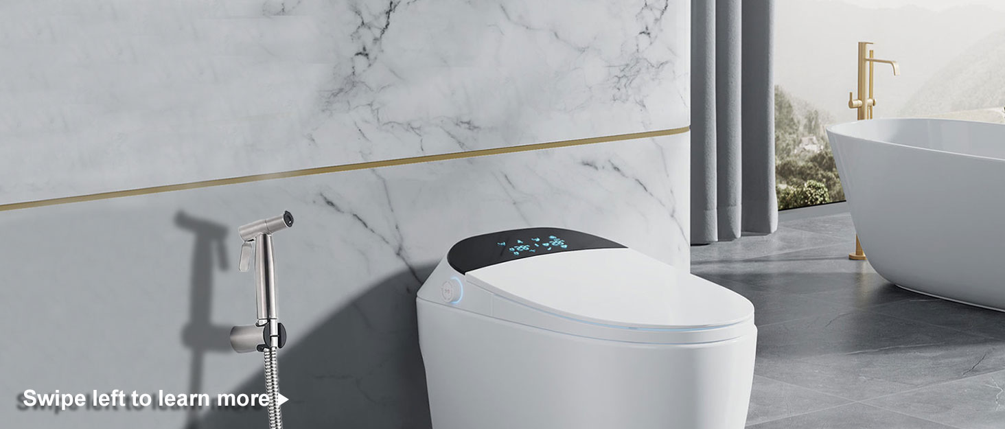 Handheld Bidet Sprayer