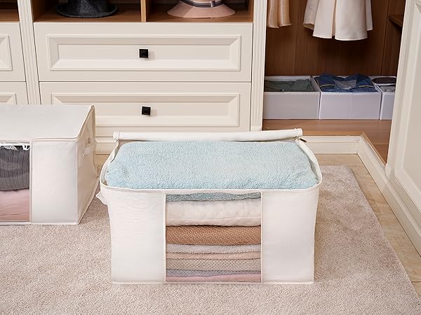 storage bags closet