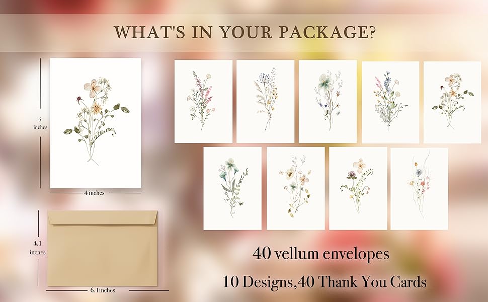 note cards