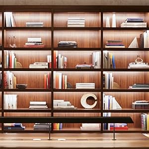 shelf light