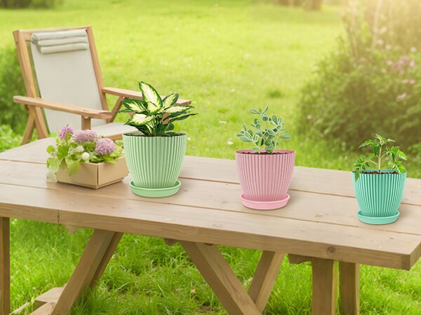 small plant pot