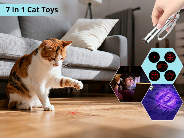 interactive cat toy