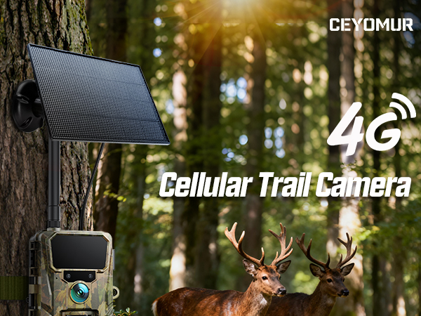 trail camera