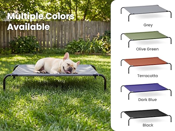 dog cot