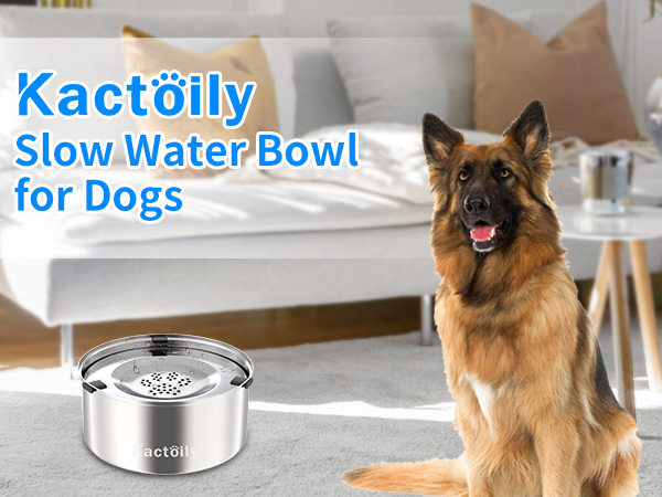 slow water bowl for dogs