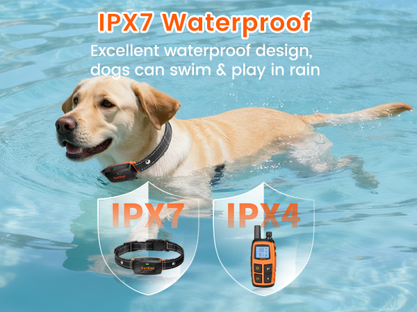 bark collar for large dog