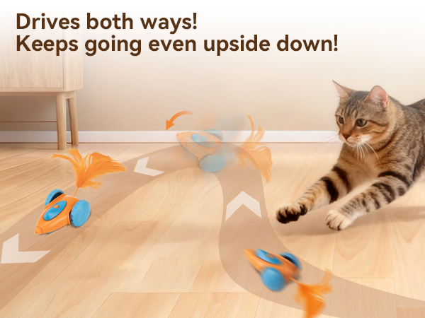 Interactive cat toy, smart cat toy, electric cat toy, automatic teaser, motion sensor