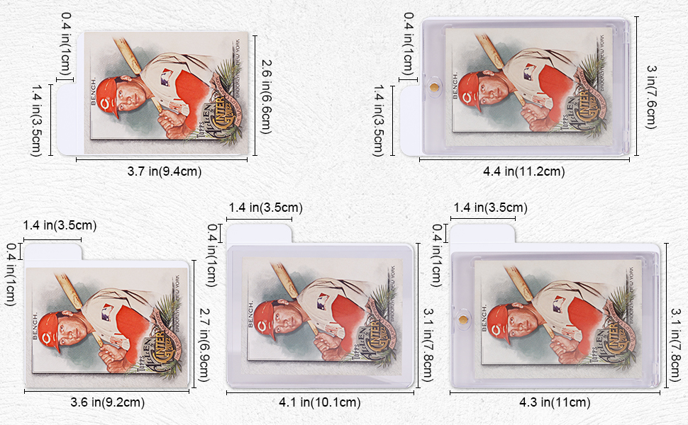 baseball card dividers