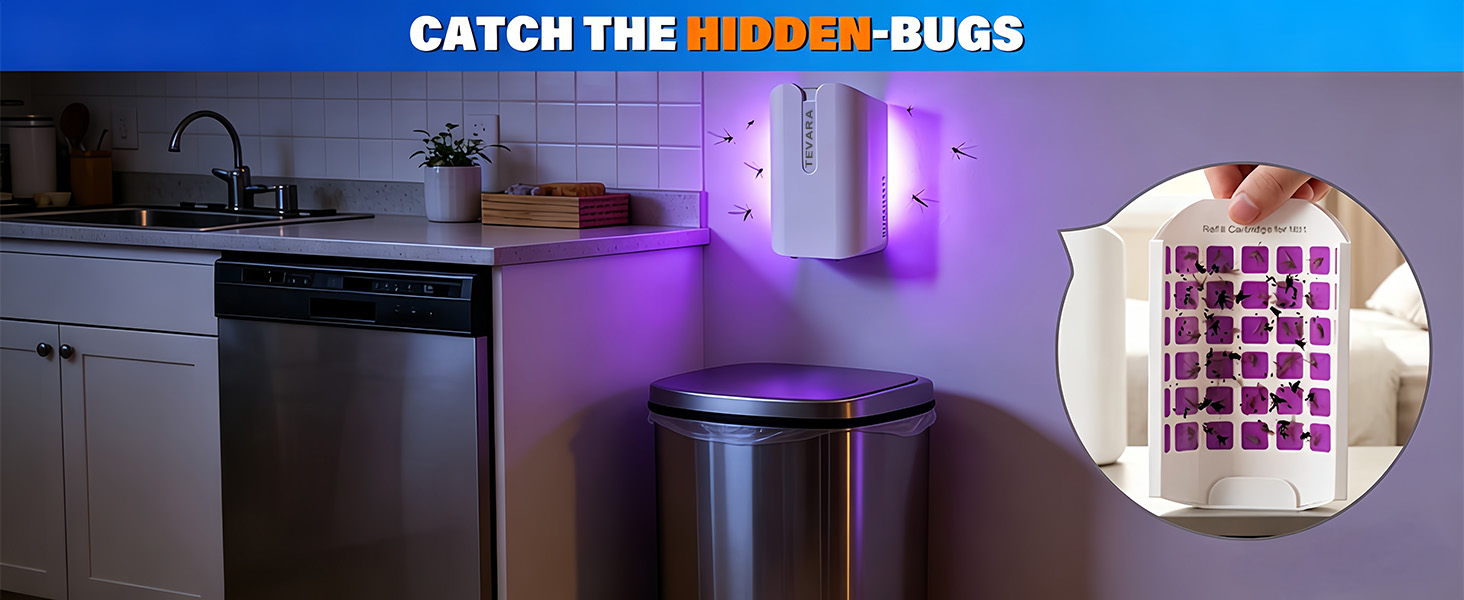 bug traps A+5