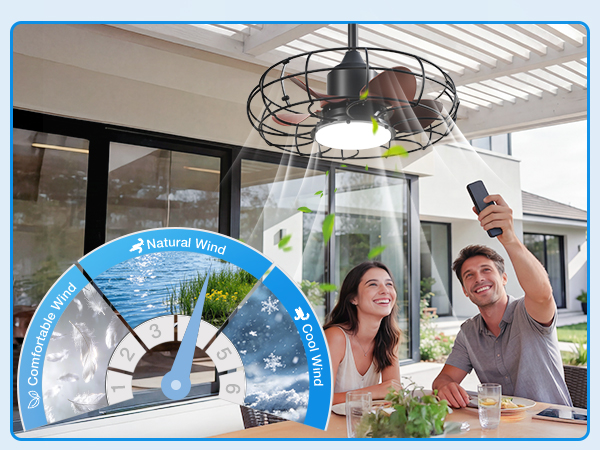 Gazebo Fan