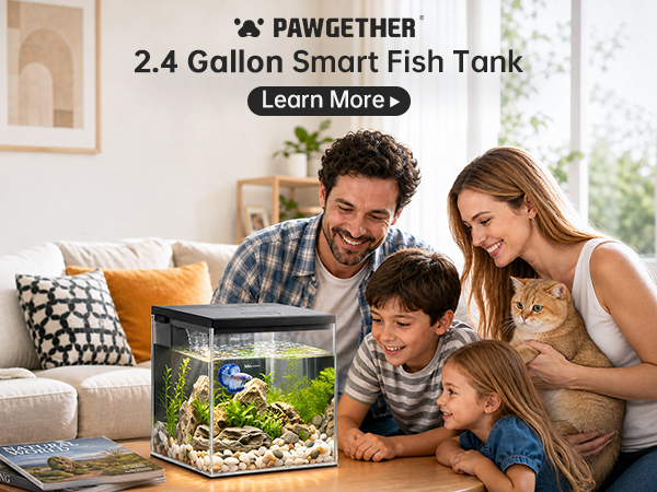 glass aquarium starter kits
