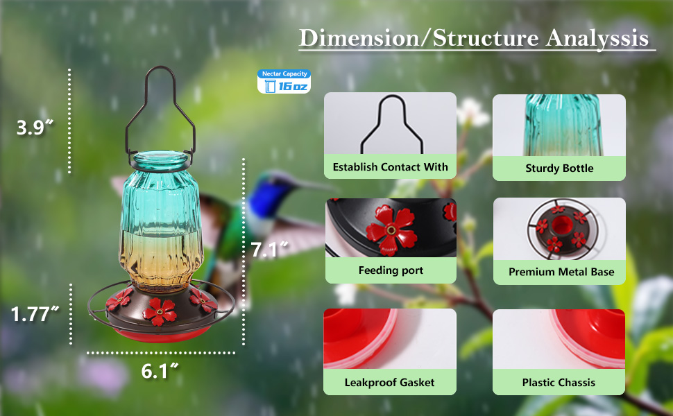 Dimension/Structure Analyssis