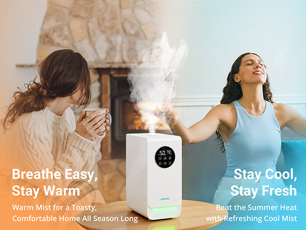 warm and cool mist humidifier