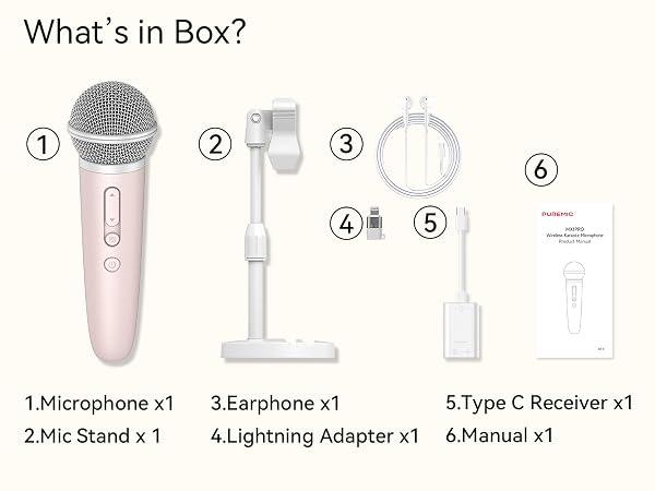 singing recording karaoke microphone