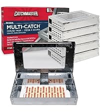 https://m.media-amazon.com/images/I/51QtCgLQMbL.__AC_SR200,225___.jpg