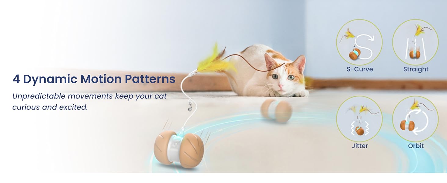 Cat toy with 4 motion modes