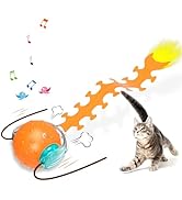 Waaiio Interactive Cat Toys for Indoor Cats, Fast Rolling Cat Ball with Centipede Tail, Birds Chi...