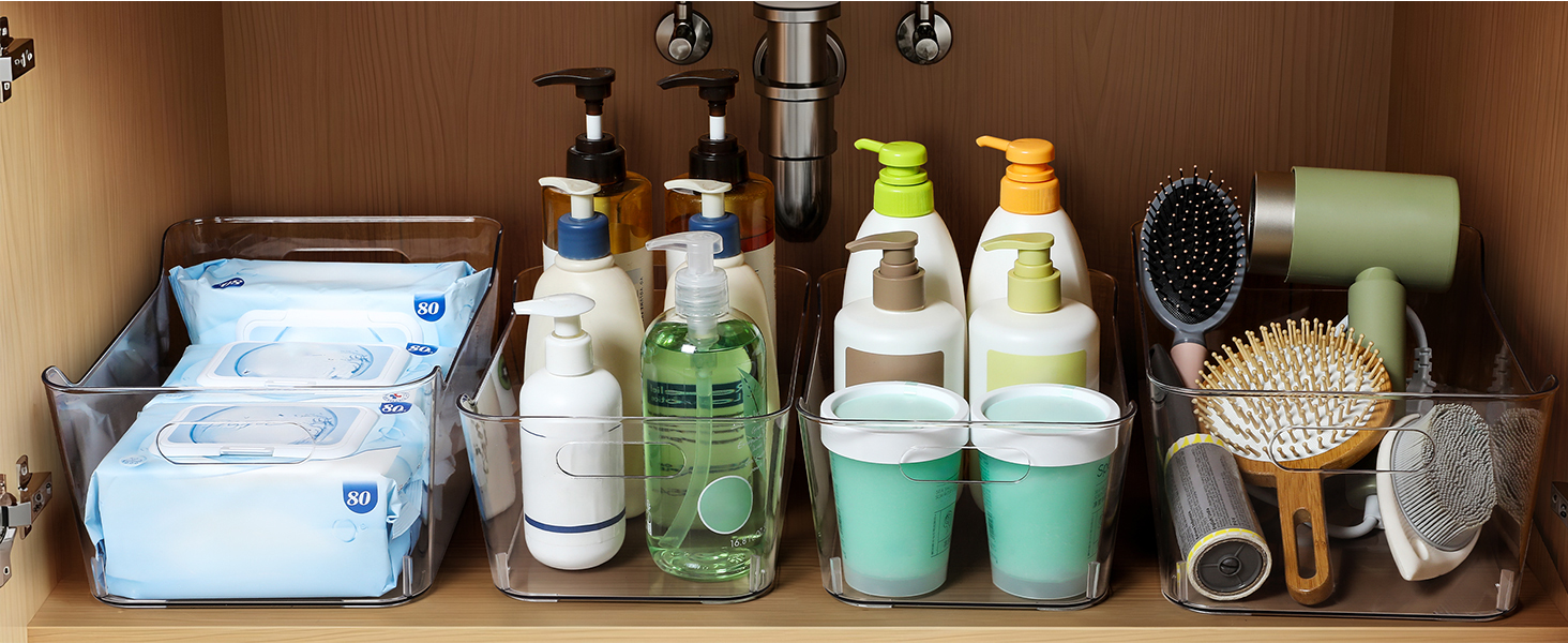 Clear Bins Organizer