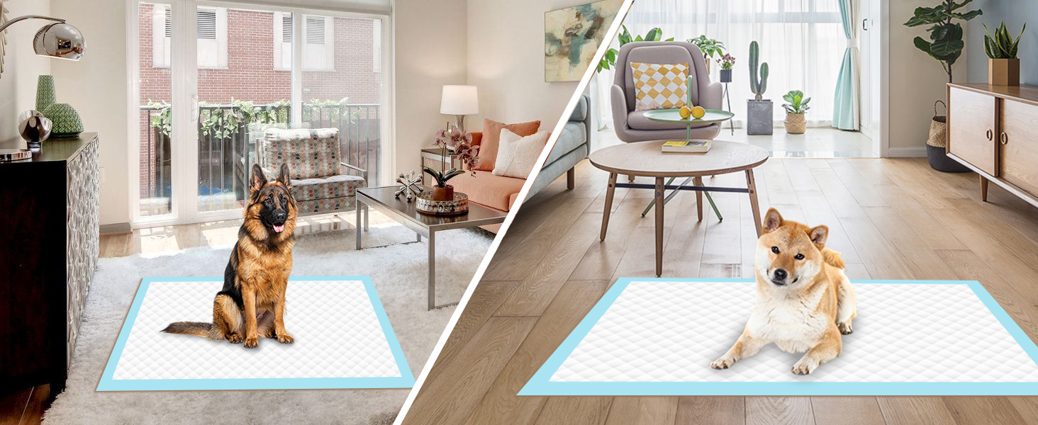 Floor and Carpet Protection