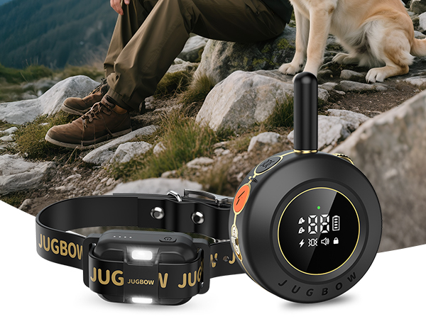Training Collar