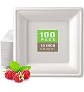 Gezond 100 Pack Compostable Square Paper Plates 10 Inch Disposable Plate Large Square Dinner Plat...