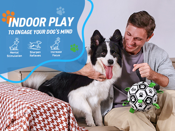 Indoor dog balls