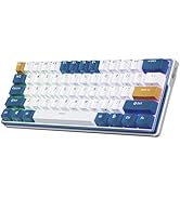 RK ROYAL KLUDGE RK61 Plus Wireless Mechanical Keyboard, 60% Percent Gaming Keyboard w/Bluetooth/2...