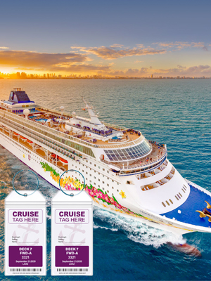 Cruise Ship Luggage Tags