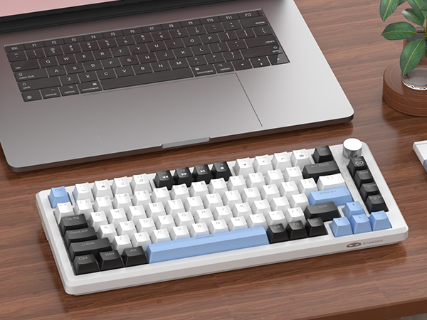 Great for Gaming and Office