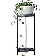 Hongsane Plant Stand Indoor Outdoor,2 Tier 30" Tall Metal Plant Stands,Heavy Duty Plant Holder fo...