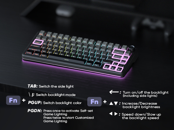 Text reads 'TAB: Switch the side light', 'Fn + ??: Brightness up/down'. Gaming keyboard with RGB lighting showing various control instructions and purple LED accents.